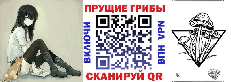 цена   Кириши  Псилоцибиновые грибы Psilocybine cubensis 