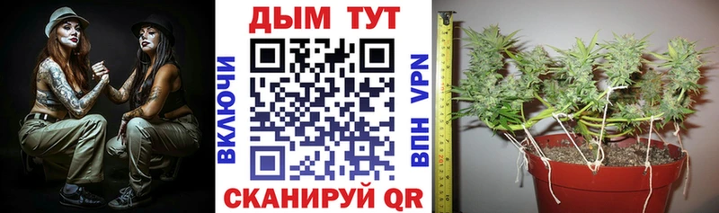 где можно купить   Кириши  кракен ССЫЛКА  Шишки марихуана конопля 